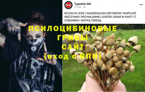 прущая мука Алзамай