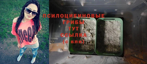 прущая мука Алзамай