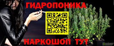 прущие грибы Вязники