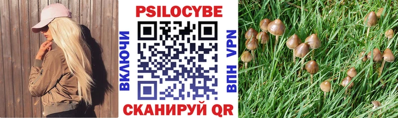 купить наркотики сайты  Челябинск  сайты даркнета наркотические препараты  Галлюциногенные грибы GOLDEN TEACHER 